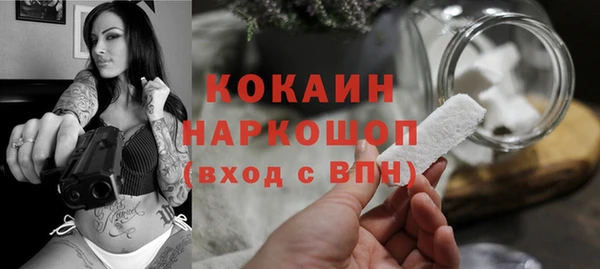 винт Алексин
