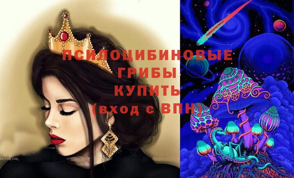 прущие крисы Абинск