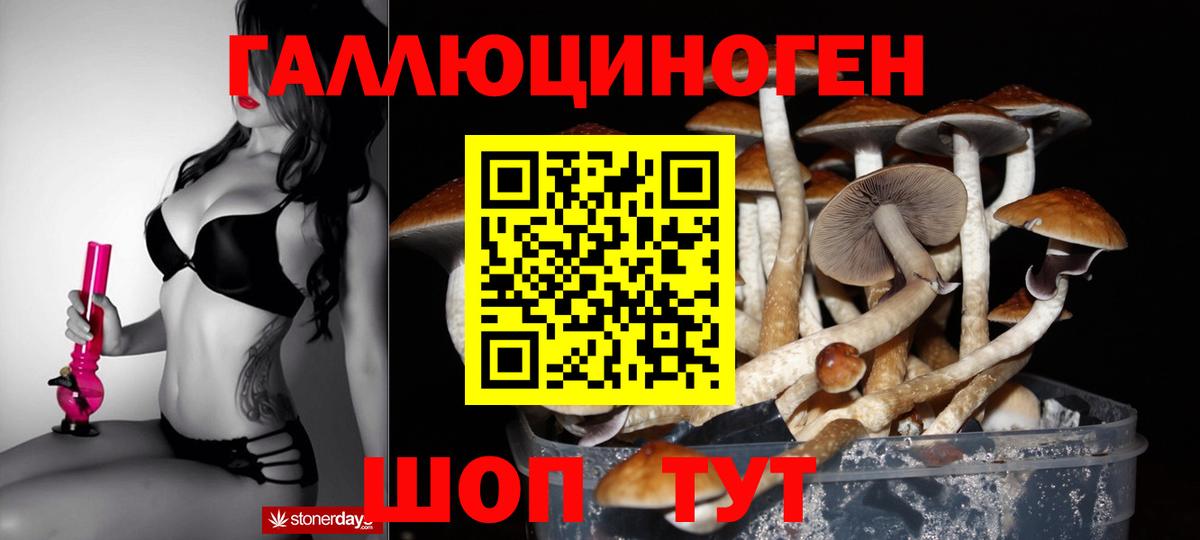 Псилоцибиновые грибы Psilocybe  Вход с VPN  Галлюциногенные грибы мухоморы  закладки  Мыски 